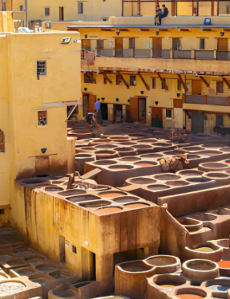 5 Day Tour from Marrakech to Fes | Private Desert Adventure