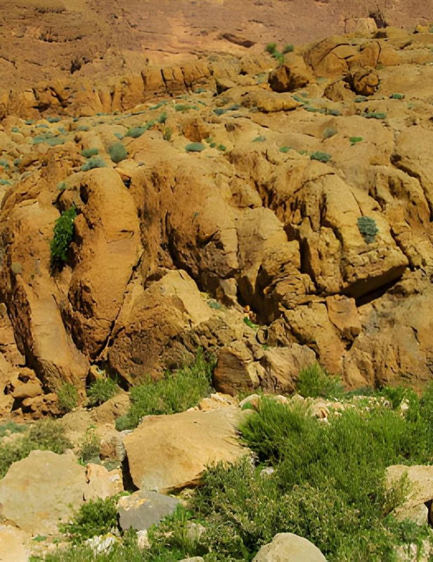 steptodown.com933452-cropped