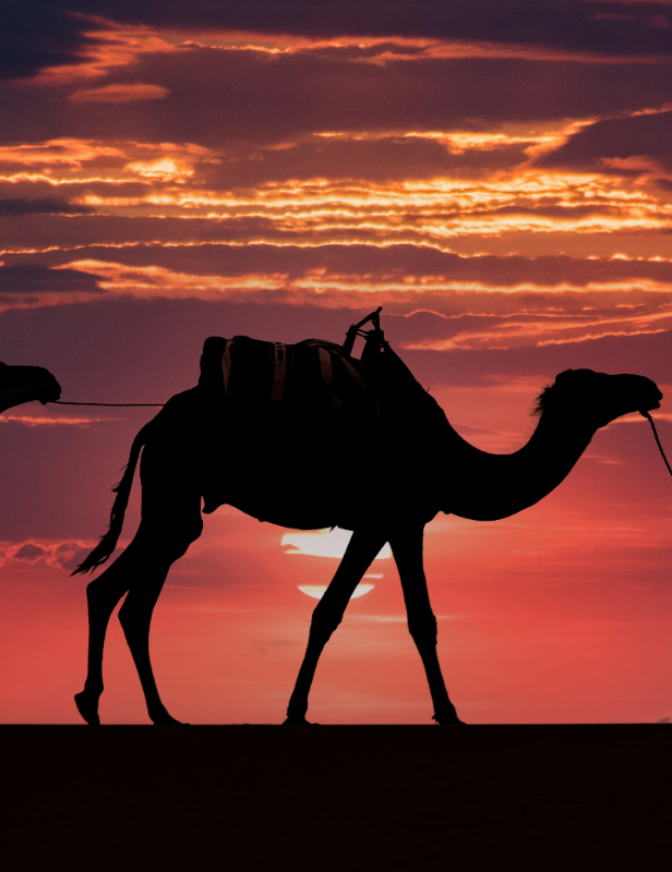 mehdi-el-marouazi-Rm2y2Lmx89o-unsplash-cropped