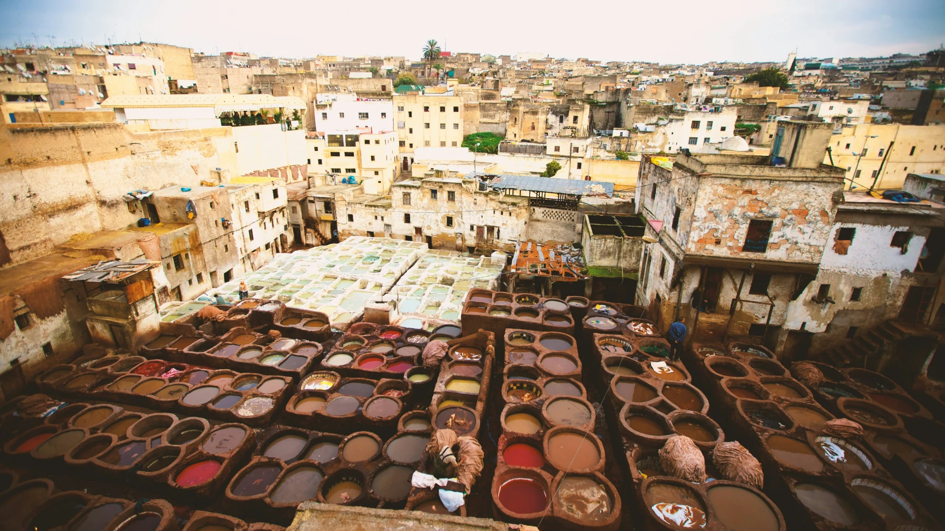 Discover Fes